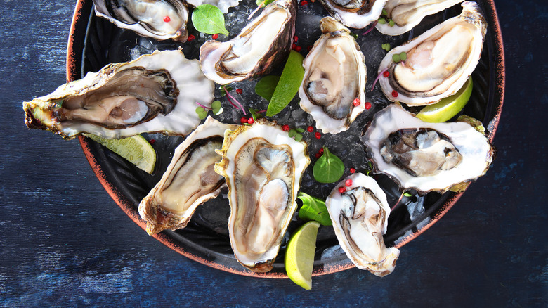 a plate of oysters