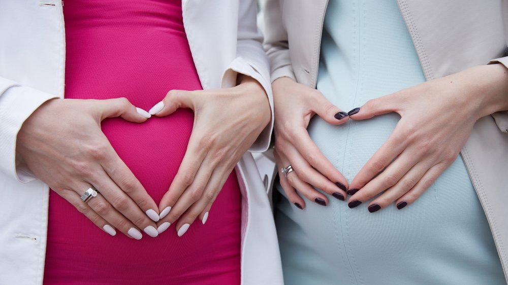 boy or girl pregnancy
