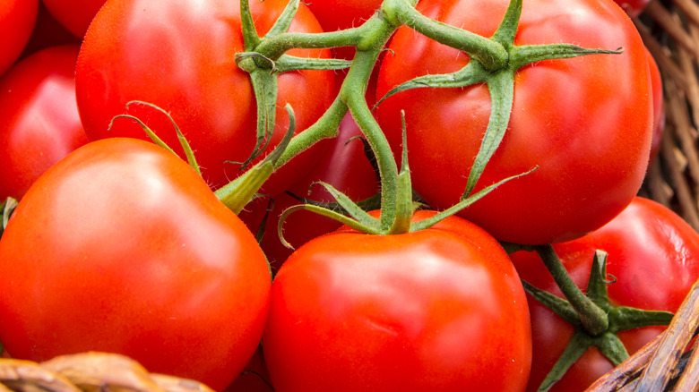 Basket of tomatoes