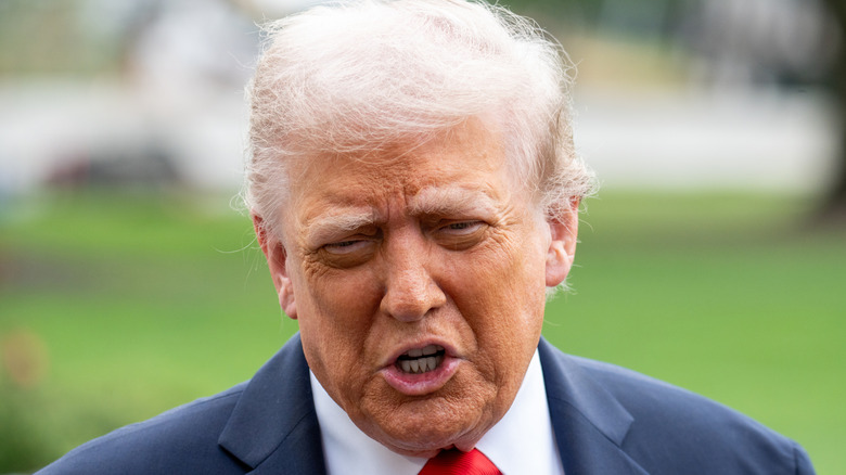 Donald Trump squinting mid-sentence