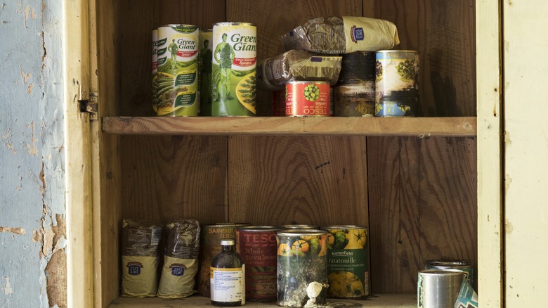 Canned foods in pantry