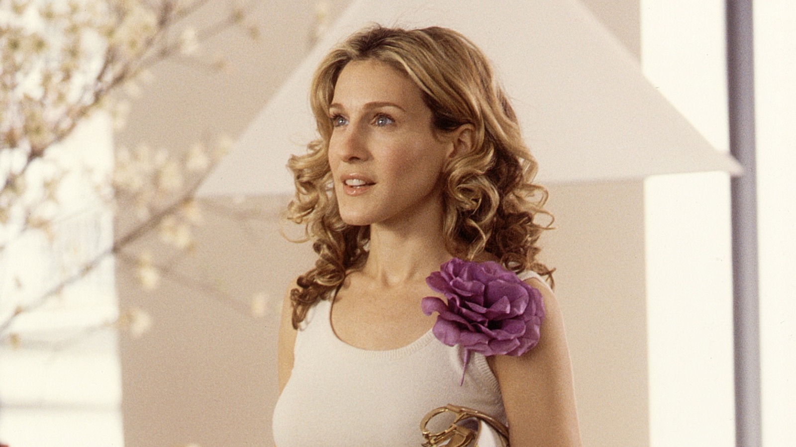 Sex and the City': Carrie Bradshaw Only Wears 1 Item on the Show Multiple  Times