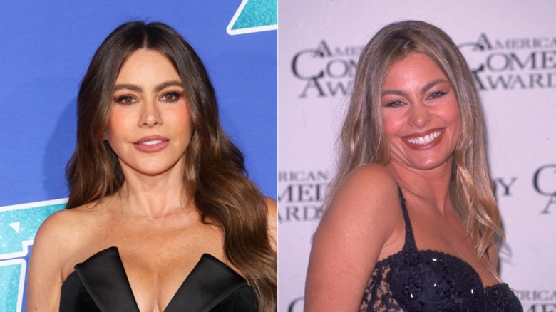 Sofia Vergara with brown hair and Sofia Vergara with blonde hair