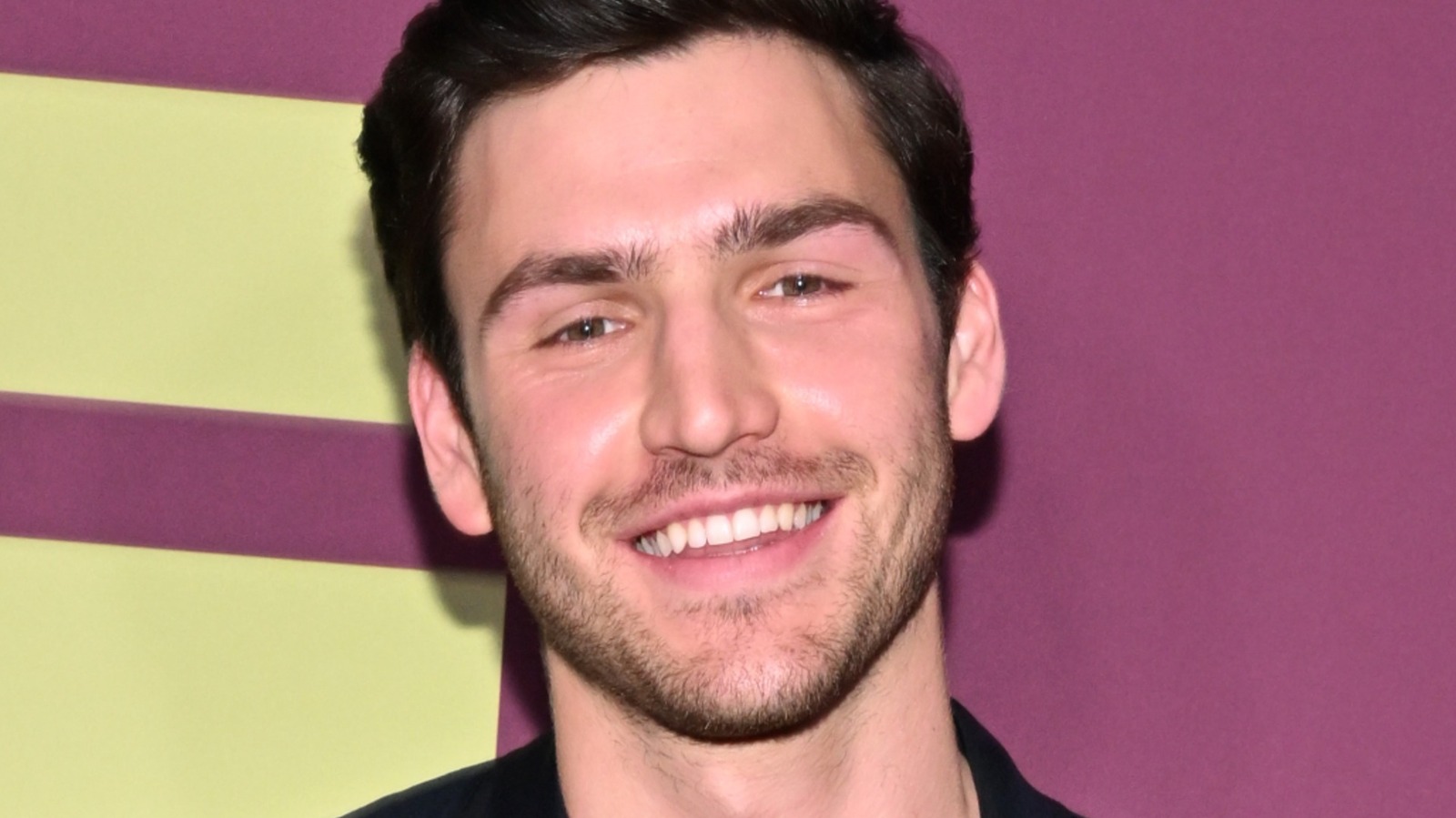 Charlie Hall: What You Didn't Know About Julia Louis-Dreyfus' Son