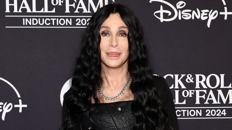 Cher at the 2024 Rock & Roll Hall Of Fame Induction Ceremony