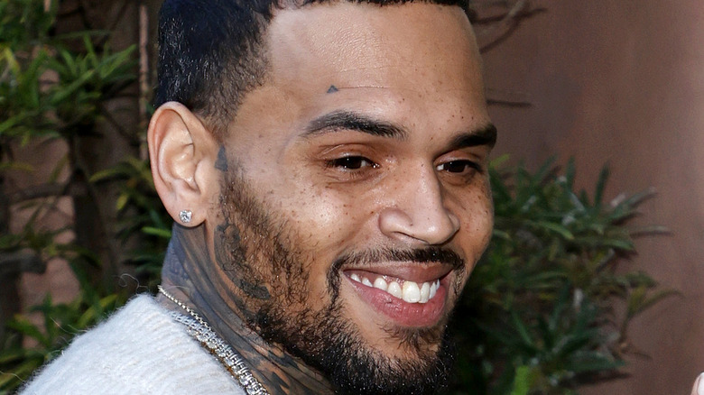 Chris Brown poses for the paparazzi