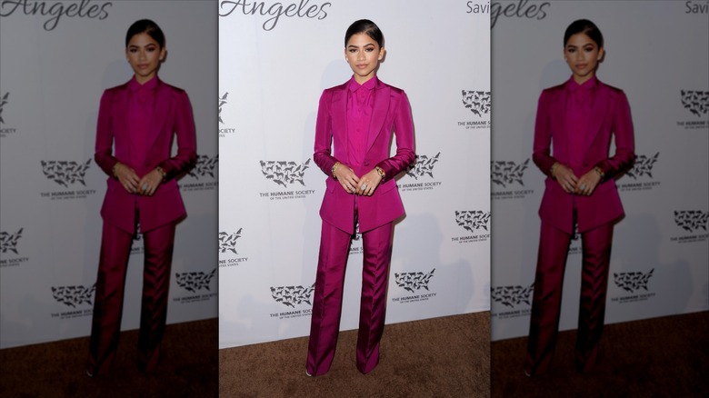 Zendaya at a gala for The Humane Society