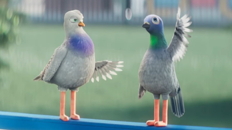 Animated pigeons in a Progressive commercials