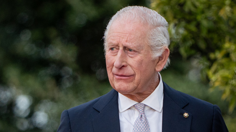 King Charles in a suit and tie looking off into the distance with a tight half-smile against a background of blurred leaves on trees