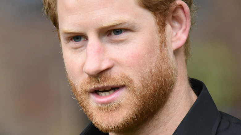 Prince Harry posing