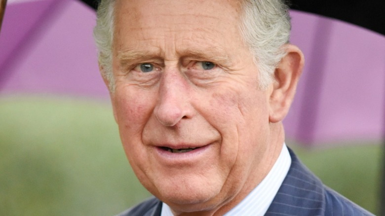 Prince Charles smiling under purple umbrella
