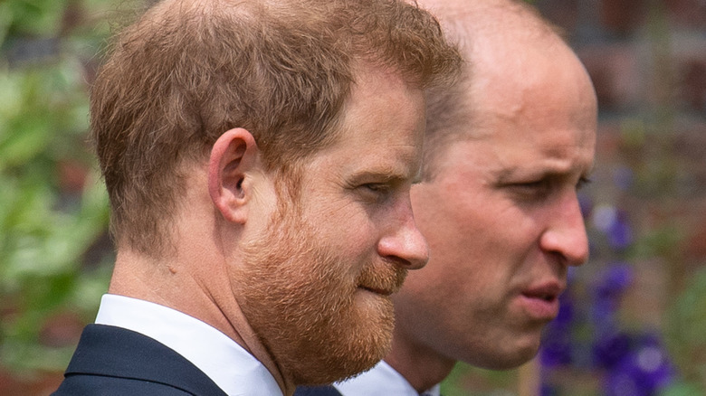 Prince Harry and Prince William