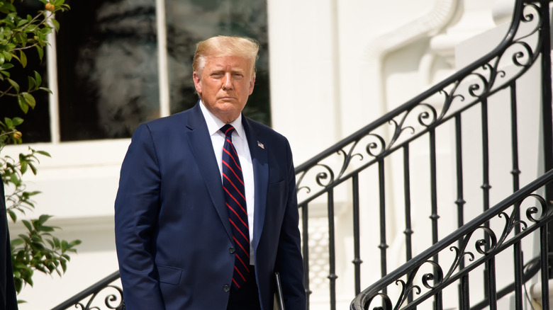 Donald Trump posing 