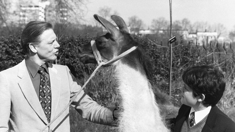 David Attenborough with a llama