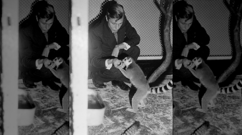 David Attenborough with a lemur