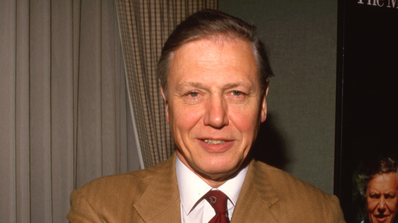 David Attenborough smiling
