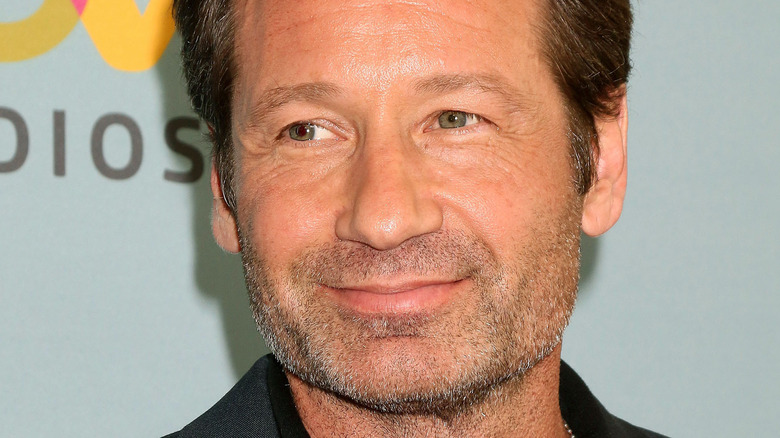 David Duchovny smiling 