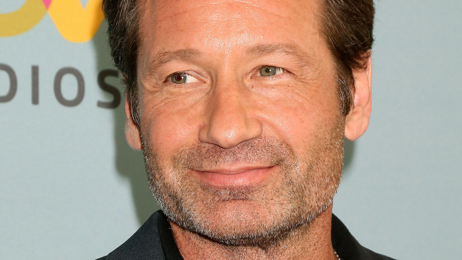 David Duchovny's Kids Grew Up To Be