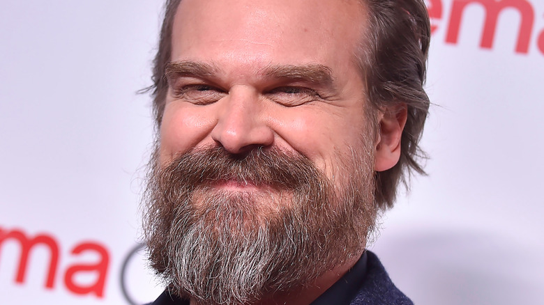 David Harbour smiles on the red carpet