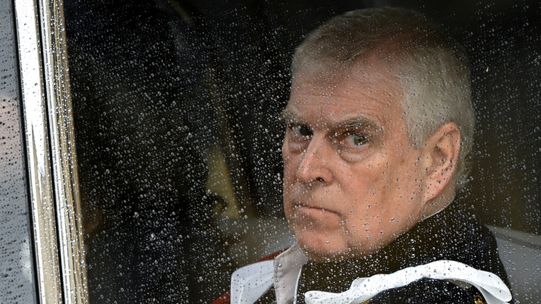 Prince Andrew, looking mopey through rainy window