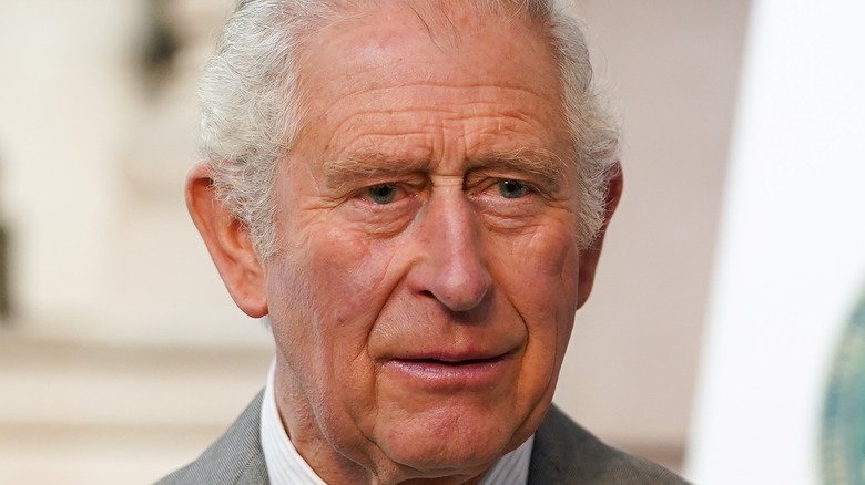 Prince Charles attends an event