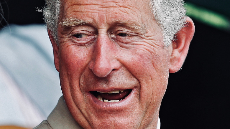 Prince Charles speaking