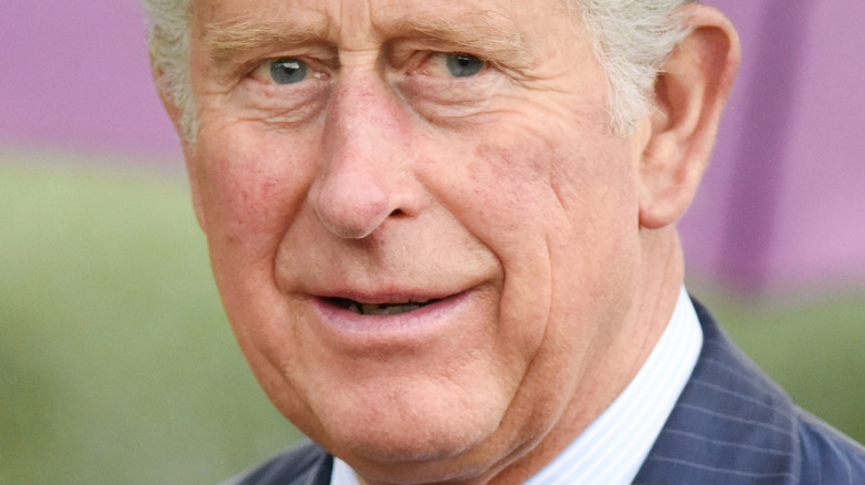 Prince Charles posing 