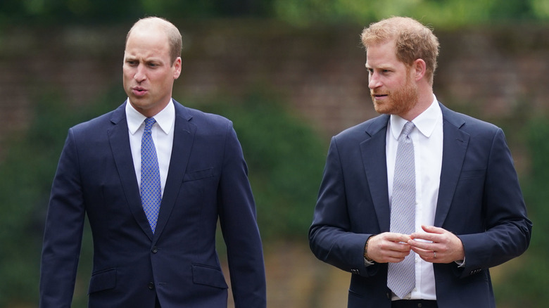 Prince William and Prince Harry at Diana's statue unveiling