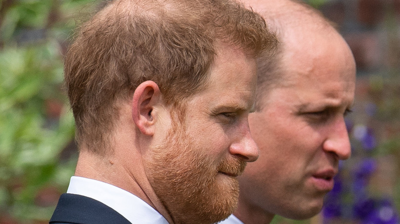 Prince William and Prince Harry at a royal event 