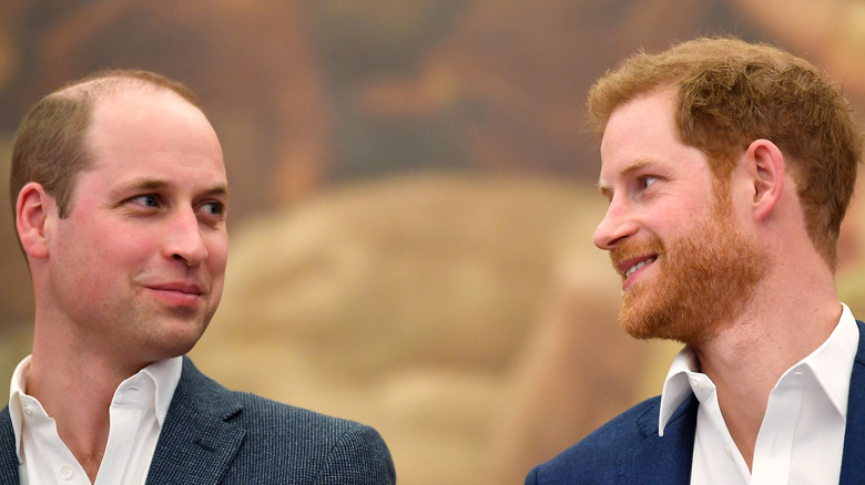 Prince William and Prince Harry smiling at each other