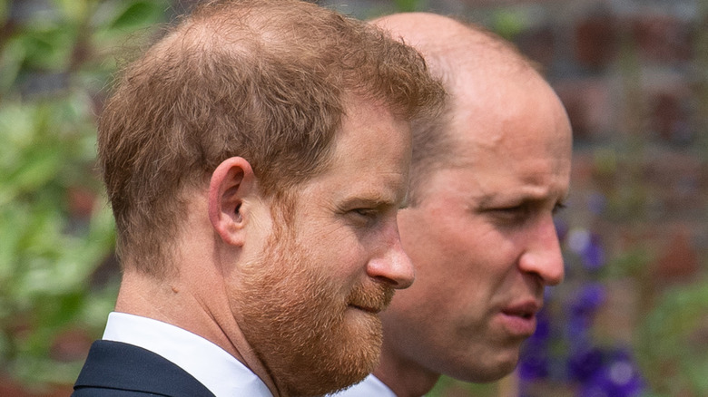 Prince Harry and Prince William side by side