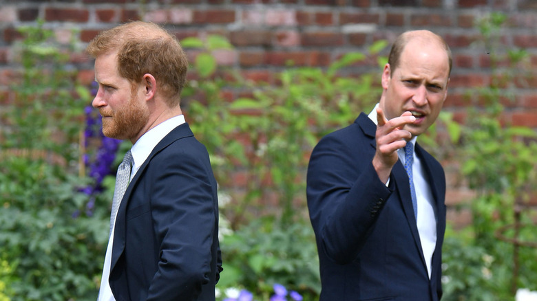 Prince William and Prince Harry