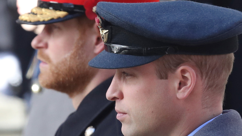 Princes William and Harry at an event