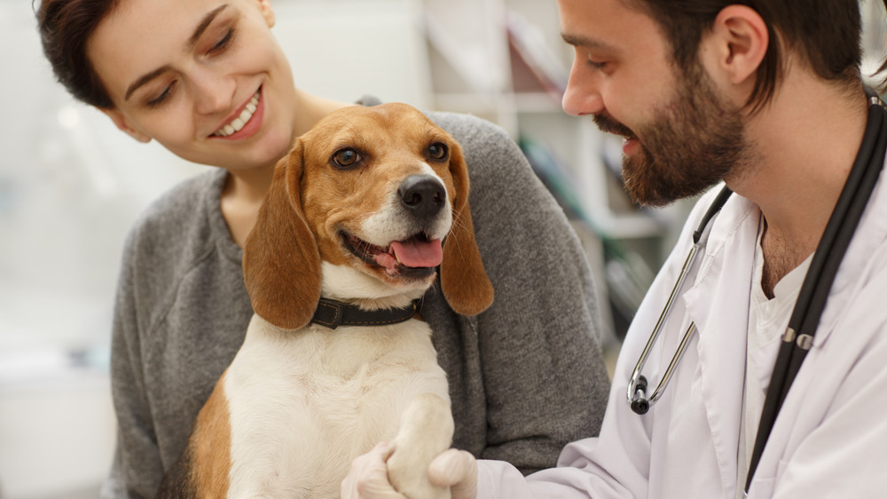 A dog, its owner, and a doctor 