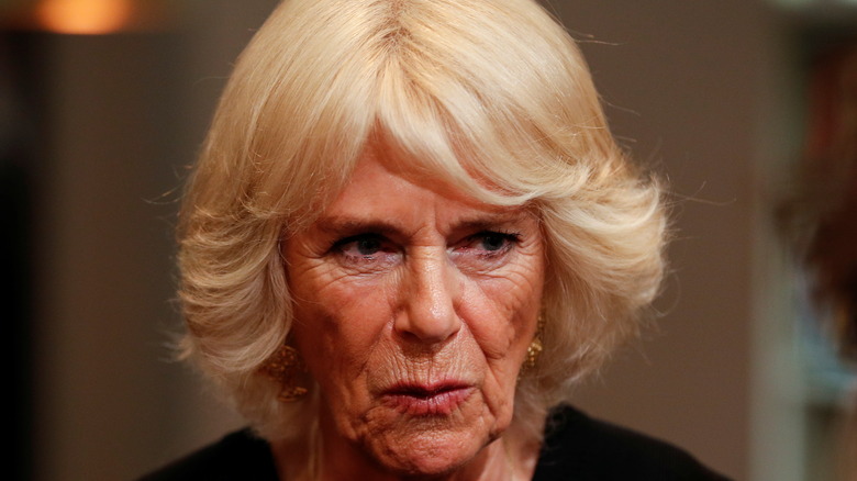  Camilla Parker Bowles speaking