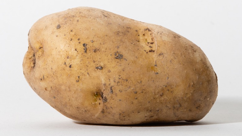 Potato