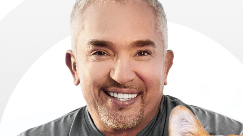 Cesar Millan smiling