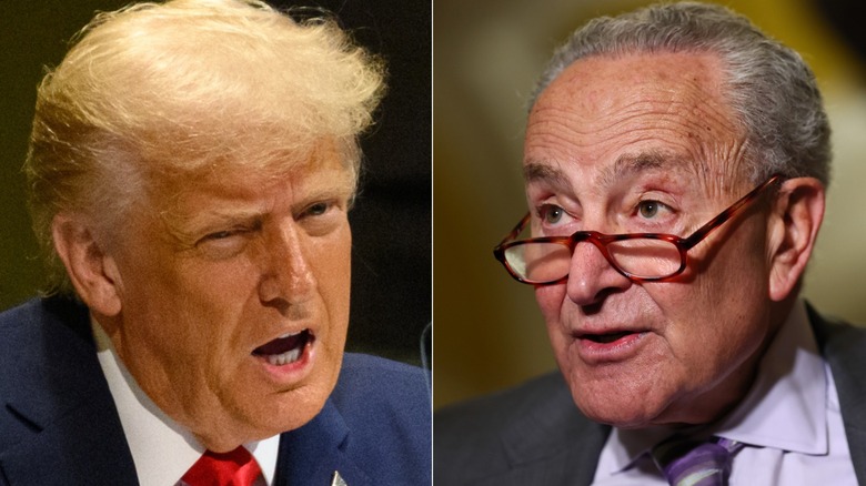 Split image of Donald Trump and Chuck Schumer in suits