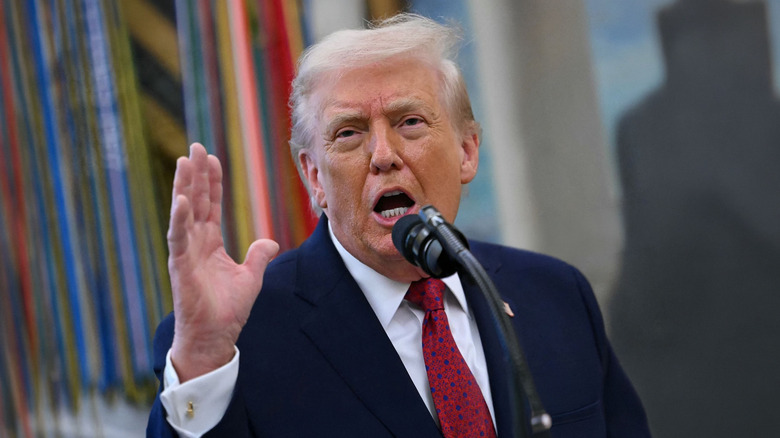 Donald Trump raises his hand and speaks into a microphone