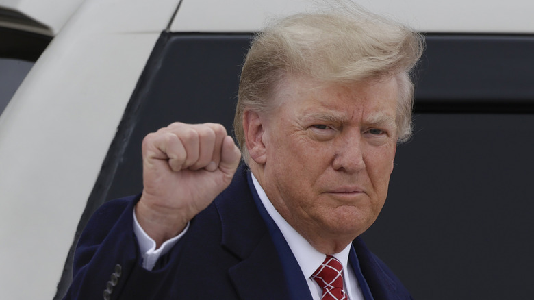Donald Trump raising his fist