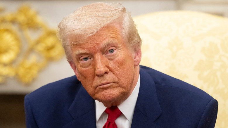 Donald Trump reacts to a question during a Cabinet meeting in the White House (2025)