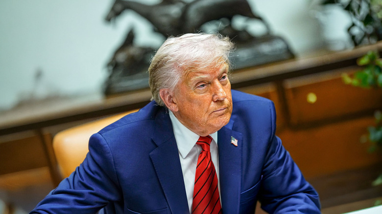 Donald Trump at a cabinet meeting