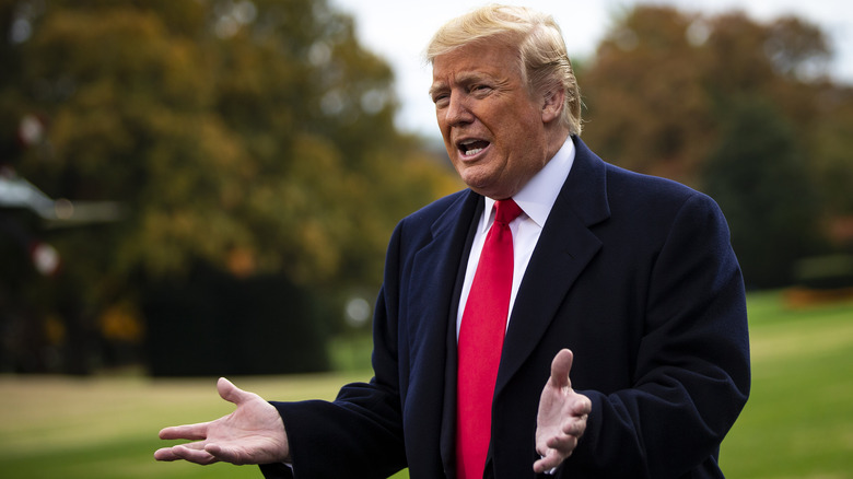 Donald Trump speaks to media on South Lawn