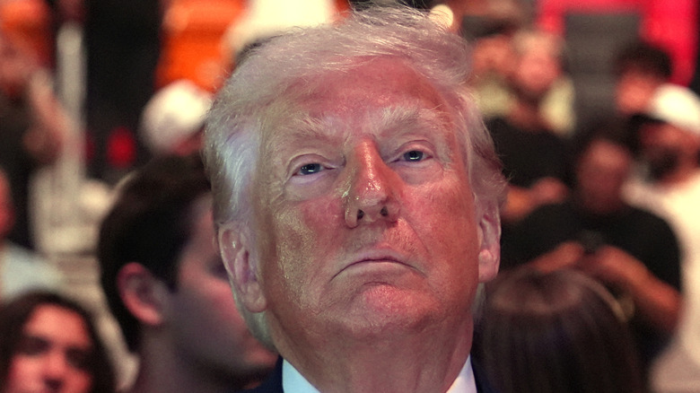 Donald Trump at a UFC fight