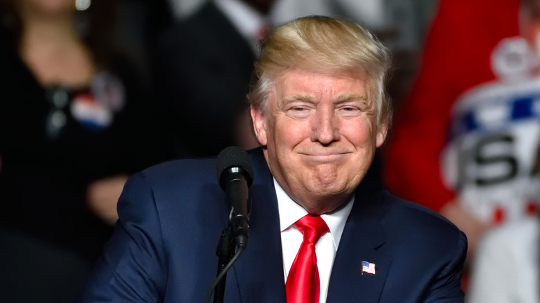 Donald Trump at a campaign rally