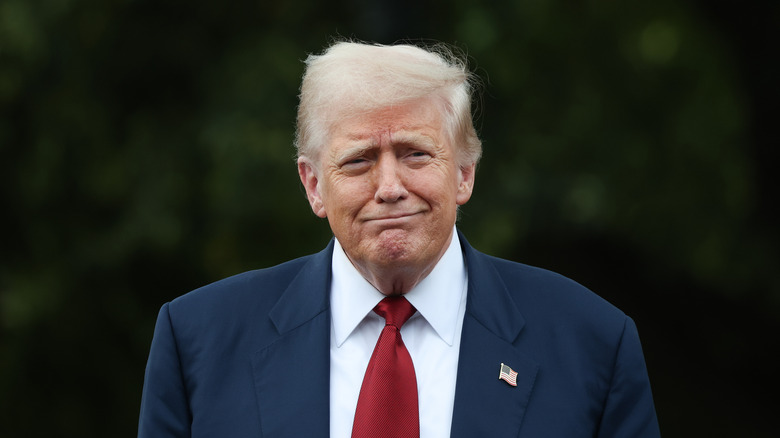 Donald Trump smirking.