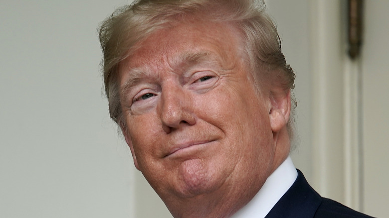 Donald Trump slight smile 