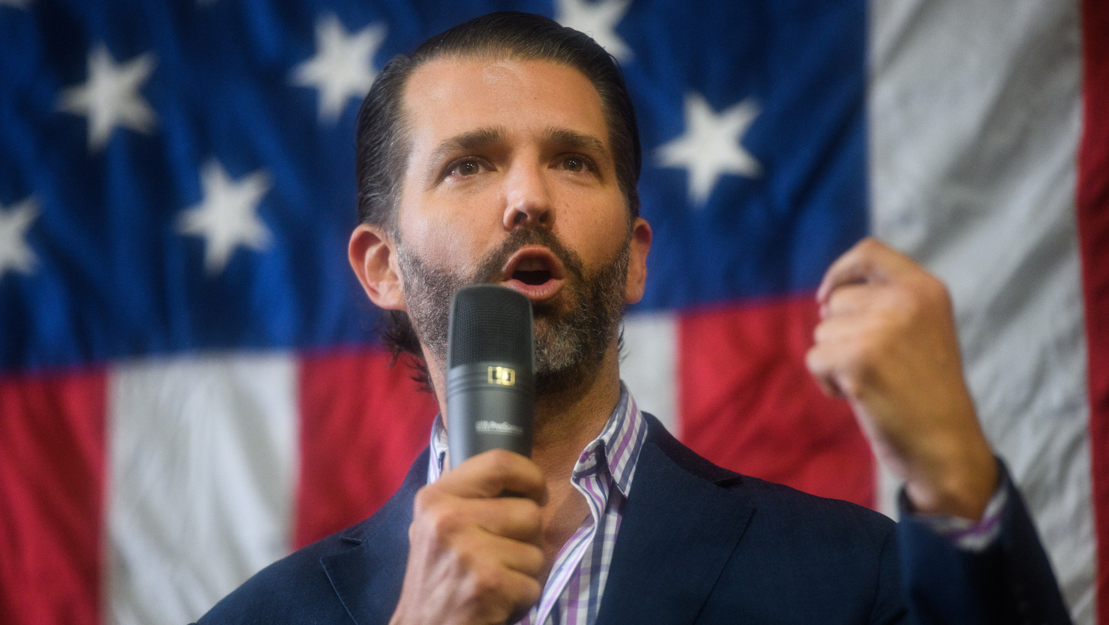 Donald Trump Jr. Tried To Stir The Pot With A Britney Spears Meme & It