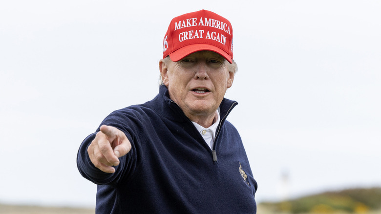 Donald Trump smiling and pointing