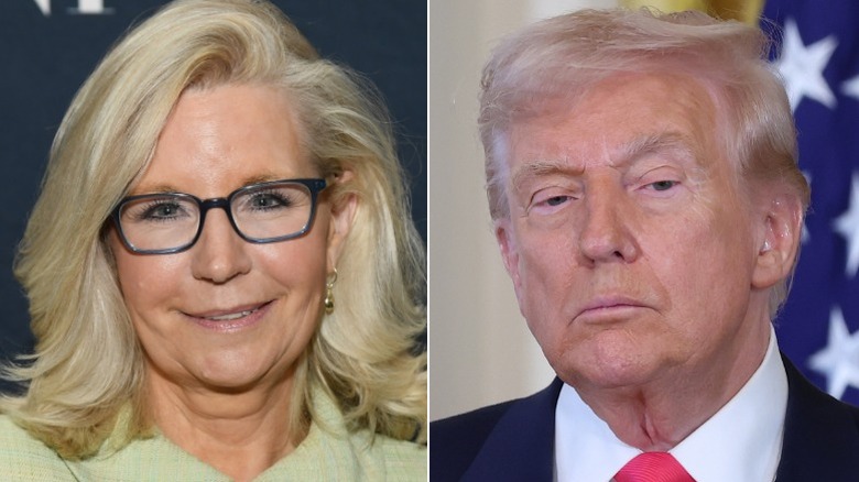 Split image of Liz Cheney and Donald Trump